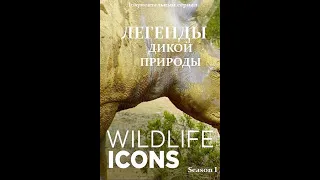 Легенды / Герои дикой природы / Wildlife Icons Серия 1 Жизнь саванны / Savanna Life