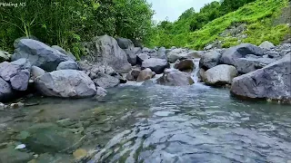 Peaceful birds chirping in the mountains, bubbling river sounds, birds and water sounds for sleeping