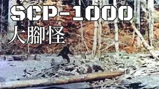 SCP基金會 SCP-1000 Bigfoot  大腳怪 (中文)