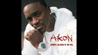 Akon -  Sorry, Blame It On Me (Instrumental) [Promo CD]