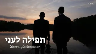 שמולי שניידער - תפילה לעני | - Shmuly Schneider - Tefila Leani