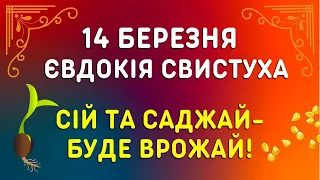 Не плануй! 14 березня - яке свято, прикмети, традиції, іменини. Євдокія Свистуха