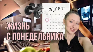 ЖИЗНЬ С ПОНЕДЕЛЬНИКА 1| ежедневник | диплом | шоппинг