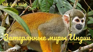 Nat Geo Wild. Затерянные миры Индии.Охотники Наголенда.