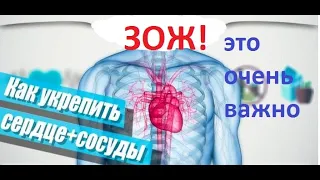 Как не угробить сердце в тренажёрном зале?