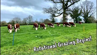 Rotational Grazing 2023 Begins!