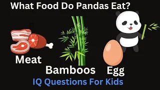 IQ Questions For Kids With Answers Part 11