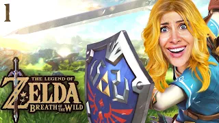 Eine lange Reise beginnt! Zelda Breath of the Wild Part 1