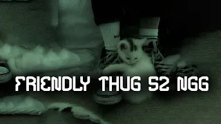 52 вайб FRIENDLY THUG 52 NGG underground music