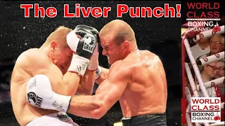 Boxing Video Series | Vital Targets | The Devastating Liver Shot