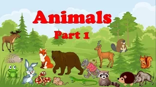 Animals Part 1. Учим слова про животных. Часть 1. Уроки английского. // #УчуАнглийский