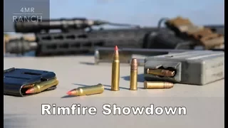 17 HMR vs. 22 LR | Rimfire Showdown
