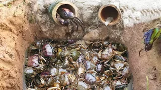 Amazing Smart Boy Deep Bamboo Hole Catch A Lot Of Crabs In Cambodia