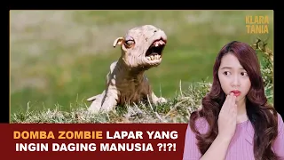 DOMBA ZOMBIE PEMAKAN DAGING MANUSIA ?! | Alur Cerita Film oleh Klara Tania