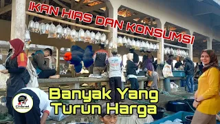 Banyak Ikan Hias Di Jual Murah , Efek Sepi Pembeli di Pasar ikan Purwonegoro