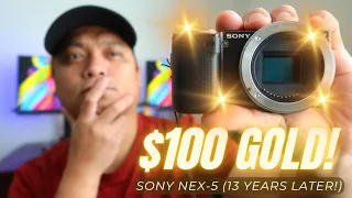 How can a $100 camera be this good? | Sony NEX-5 review (13 years later!)
