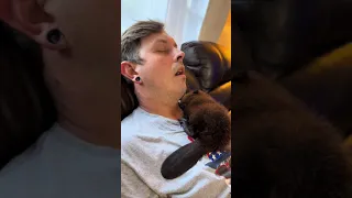 Beaver Falls Asleep in Arms of Man Sleeping on Couch - 1498271-1