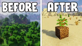 The Story of Minecraft's LAST SAPLING...