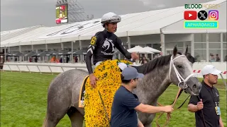 2024 Preakness Stakes: Mystik Dan Continues Triple Crown Pursuit. Can Another "Seize" the Moment?