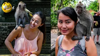 Hilarious Monkey Moments That Will Crack You Up
