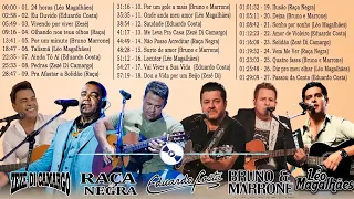 Léo Magalhães, Eduardo Costa, Zezé Di Camargo, Raça Negra, Bruno e Marrone - Musicas Sertanejas 66