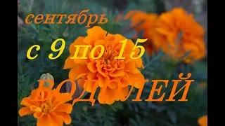 ВОДОЛЕЙ. С 9 по 15 СЕНТЯБРЯ 2019 г. ПРОГНОЗ на НЕДЕЛЮ.