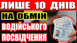 Нові правила для водіїв в Україні з липня: вивчення ПДР без автошколи та онлайн-обмін посвідчень