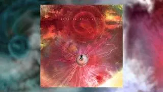 ANIMALS AS LEADERS - Physical Education