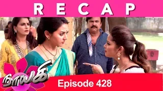 RECAP : Naayagi Episode 428, 13/07/19