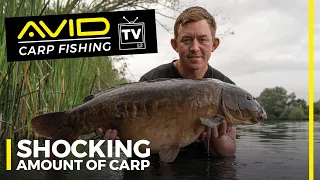 Catching SHOCKING Amounts Of BIG CARP Using One Lead Set-Up! | Mark Bartlett (Carp Fishing)