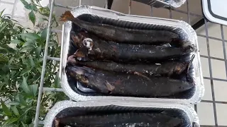 diy cook smoked fish homemade #short video