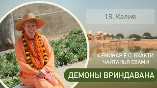 13. Калия - Демоны во Вриндаване (Семинар)