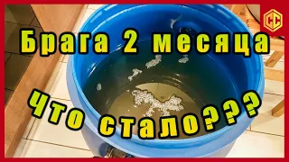 БРАГА СТОЯЛА 2 МЕСЯЦА, ЧТО С НЕЙ СТАЛО. Сан Саныч Самогонщиков.