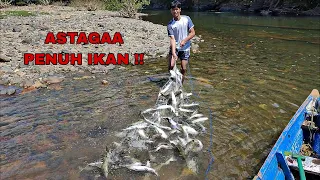 MERINDING‼️SEKALI JALA IKAN DAPAT IKAN SEBANYAK INI