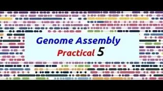 Genome Assembly Practical Part 5