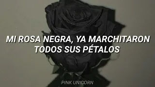 Mi Rosa Negra (Letra) || Porta