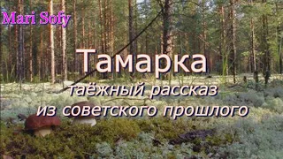 Аудиокнига "Тамарка" таёжный рассказ из советского прошлого. Читает Марина Багинская.