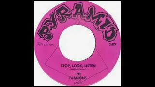 The Tamrons-Stop, Look, Listen(1967).