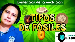 5. Tipos de fósiles | Tema: Evidencias de la evolución | CONOCE la Biología