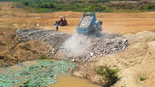 Start New Project Land mix rock fill up by Bulldozer Pour soil into the pond and Dump truck 5Ton.