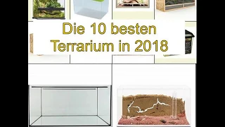 Die 10 besten Terrarium in 2018