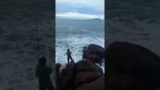 pescaria de anchova "floripA'