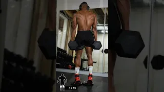 Dumbbell Complete Leg Workout (No Bench) #1