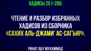 26. «Сахих аль-Джами’ ас-Сагъир». Хадисы 251-260. || Ринат Абу Мухаммад