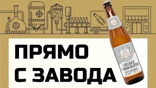 Пиво "Свежее с пивоварни" из КБ | Трехсосенское пиво | BEER Channel