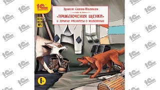 Путешествие дикой утки и другие рассказы о животных (Эрнест Сетон-Томпсон). Читает Вадим Максимов.