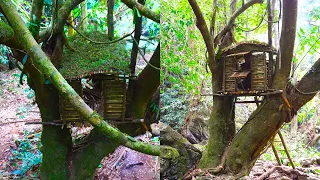 Full Video 3 Days Build a bushcraft cabin on an old tree - 365 day solo  bushcraft