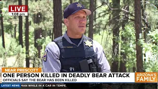 LIVE: Officials give update on bear attack that killed one person near Prescott