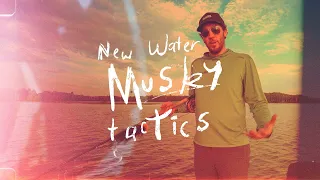 Musky Fool On the Water - New Water Musky Fly Fishing Tactics