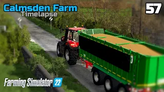 Fertiliser spraying & selling products over winter | Calmsden Farm #57 | Farming Simulator 22